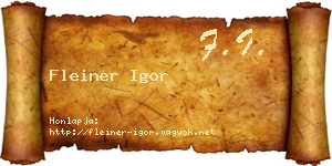 Fleiner Igor névjegykártya